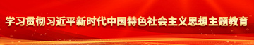 狠狠操我逼学习贯彻习近平新时代中国特色社会主义思想主题教育